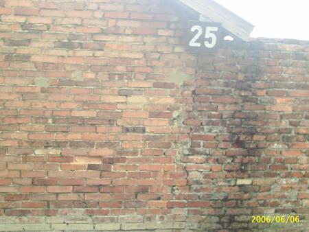 bloc25 bloc disciplinaire