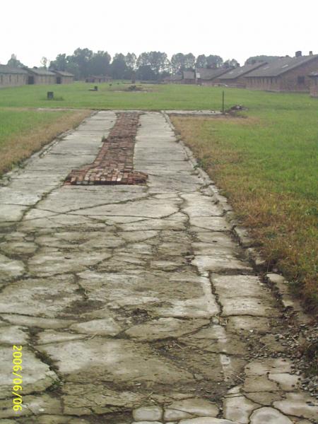 ancien emplacement du laboratoire du docteur ss mengele