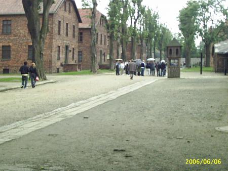 all�e principale du camp