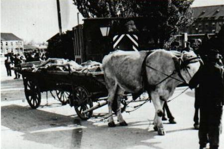 lib�ration de dachau