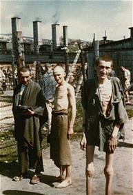 survivants de mauthausen