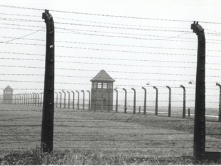 barbel�s ... birkenau