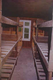 struthoff,interieure d'une baraque