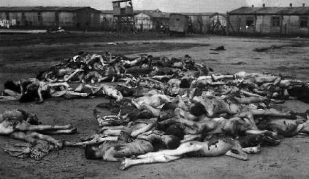 camp de bergen belsen