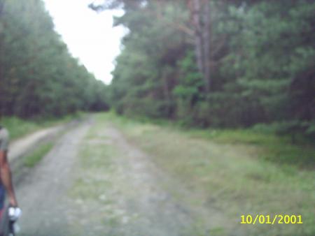 le chemin noir �galement appel� le chemin du ciel menait tout droit au lieu des �x�cutions