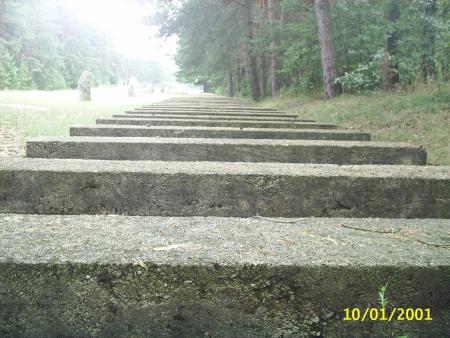 reconstitution des rails menant a l'entr�e du camp